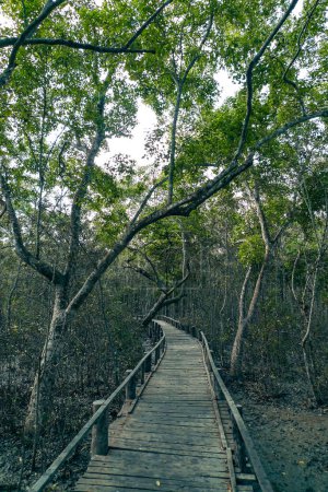 Karamjal Point Sundarbans Nationalpark Bangladesch