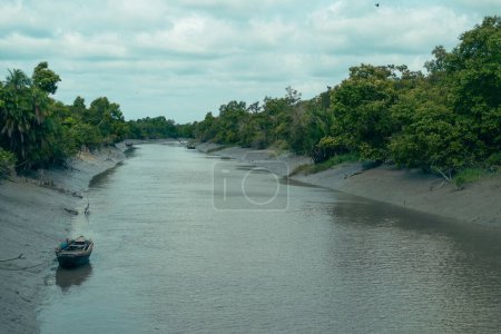 Canal de agua estrecho en el bosque de manglares sunderbans Bangladesh