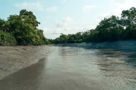 Sundarbans bosque de manglares por los ríos Ganges Brahmaputra y Meghna en la bahía de Bengala