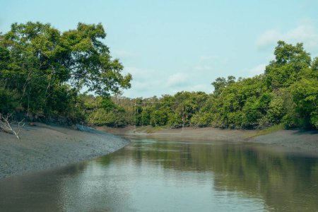 Der Sundarbans Mangrovenwald