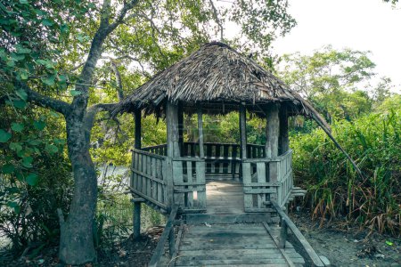 Cabaña de madera dentro de un denso bosque de manglares en Bangladesh