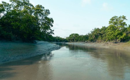 Les Sundarbans Patrimoine mondial au Bangladesh