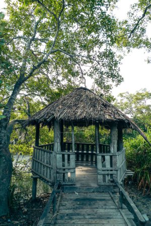 Breitwanderweg aus Holz im dichten Mangrovenwald Sundarbans in Bangladesch