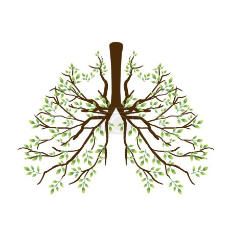 Téléchargez les illustrations : Feuillage et branches formant des poumons et des bronches anatomie des organes humains montrant des poumons sains sans jour de tabac - en licence libre de droit