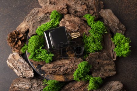 Black glass square bottle of perfume or cologne surrounded by wood and vegetation. Natural, fresh, woody scent.