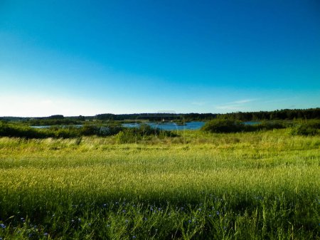 Photo for Landscape of meadow and pond in background. Summer season, polish nature, picture from Kashubian, Pomeranian Voivodeship. - Royalty Free Image