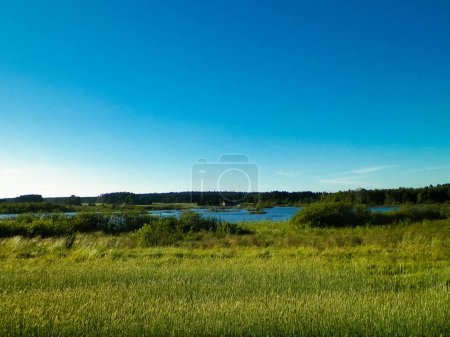 Photo for Landscape of meadow and pond in background. Summer season, polish nature, picture from Kashubian, Pomeranian Voivodeship. - Royalty Free Image