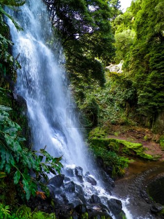 Photo for Small river at Botanical Garden of Ribeira do Guilherme S Miguel Island Wild exotic nature of Azores arhipelago. - Royalty Free Image