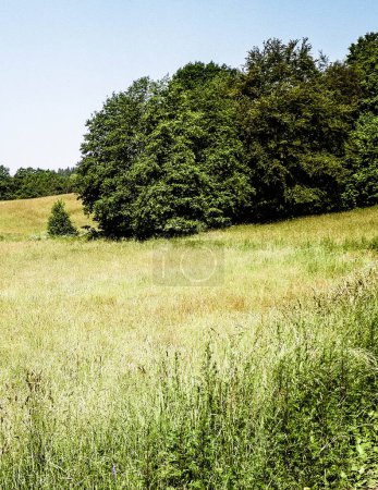 Foto de Colinas, campos y prados - hermoso paisaje de Wiezyca, región de Kashubia, norte de Polonia. Copiar espacio en el cielo azul. - Imagen libre de derechos
