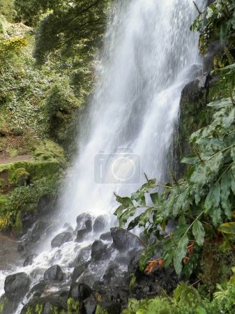 Photo for Big waterfall at Botanical Garden of Ribeira do Guilherme So Miguel Island. Wild, exotic nature of Azores arhipelago. - Royalty Free Image