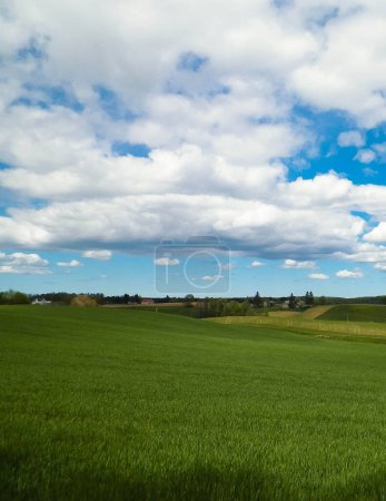 Téléchargez les photos : Meadowin Kashubia - paysage typique de la région du Kashubian, au nord de la Pologne. Concept de voyage et de nature. - en image libre de droit