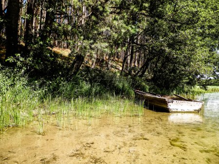 Foto de Barco en la costa del lago Wdzydzkie. Antiguo barco abandonado en la costa del lago Wdzydze. Wdzydze Landscape Park, región de Kashubia, norte de Polonia
. - Imagen libre de derechos