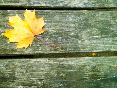 Foto de Hojas de otoño sobre tabla de madera como fondo natural. Copiar espacio
. - Imagen libre de derechos
