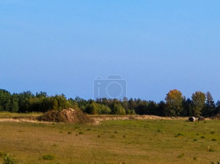 Countryside landscape. Autumn season agriculture concept and copy space pon clear sky.