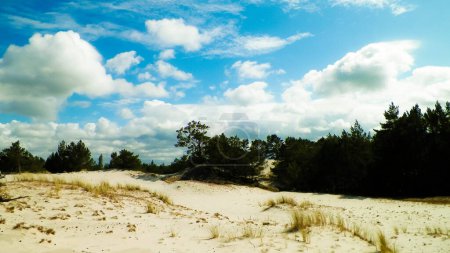Sand dunes in Stilo, Leba. Coastal area of Northern Poland.