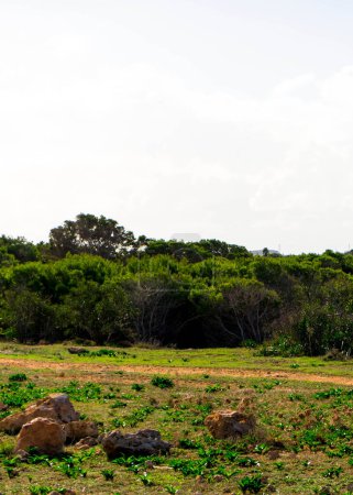 Foresta 2000 Naturschutzgebiet auf der Halbinsel Marfa Malta. Nördlicher Teil der Insel.