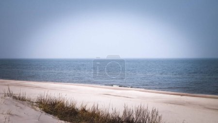 Baltic sea coast at sunny day. Lazy, Poland travel and nature concept.