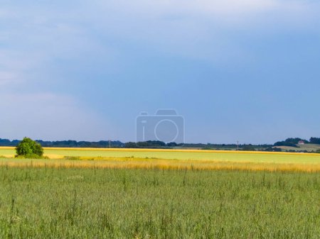 A field in Kashubia. Agriculture concept. Northern Poland.