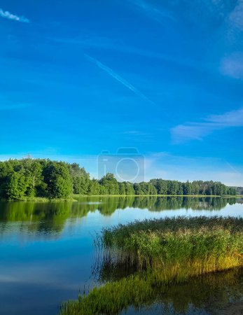 Costa de un lago Wdzydze. Pura naturaleza. Wdzydze es uno de los lagos polacos más grandes, ubicado en el bosque de Tuchola, Pomerania.