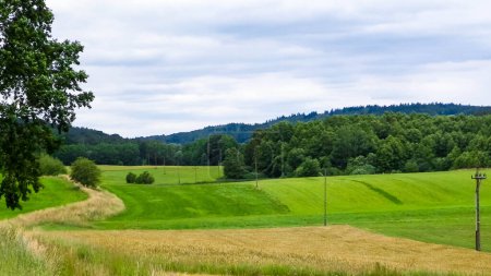 Fields and meadows of Wiezyca. Wiezyca is popular touristic region of Kashubia Region. Poland