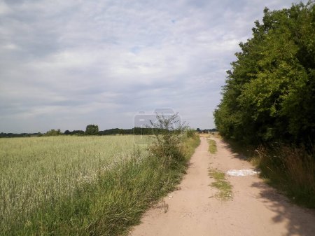 Straße über Felder in Kaschubia. Polen. Touristisches Konzept - Reise- und Naturkonzept.