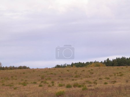 Autumnal field in cloudy day. Nature of Pomerania, Poland. Copy space on cloudy sky.