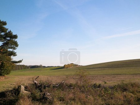 Wnd des Sommers - Herbst Bäume und Felder. Polnische Natur. Kopierraum auf blauem Himmel. Mechelinki, Polen.