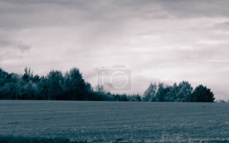 Autumnal field in cloudy day. Nature of Pomerania, Poland. Copy space on cloudy sky. BW abstract filter.