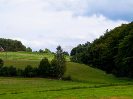 Green hills and forest - landscape of Kashubian Region, Poland. Travel and nature concept.