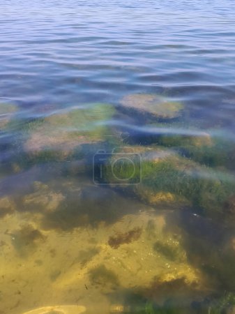 Nature backgraund of clean sea water. Baltic sea. Puck Bay.