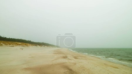 Baltic sea coast at rainy, windy day. Lazy, Poland travel and nature concept.