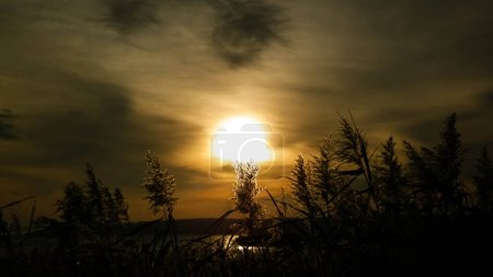 Téléchargez les photos : Belle vue sur le lever du soleil sur la lagune de la Vistule. Côte proche de Frombork City. - en image libre de droit