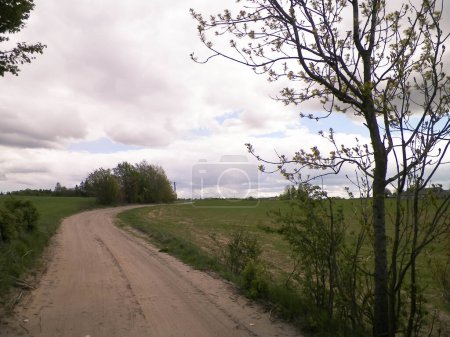 Route rurale à travers les champs kachoubes. Concept de voyage et nature. Pologne du Nord.