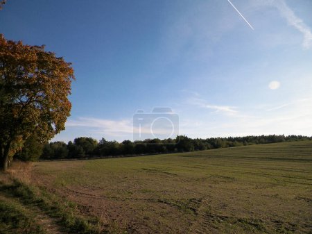Fin de l'été - arbres et champs d'automne. La nature polonaise. copier l'espace sur le ciel bleu. Malines, Pologne
.