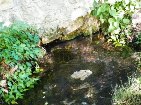 Spring of Black Drim 's River. Natur und Erkundungskonzept.