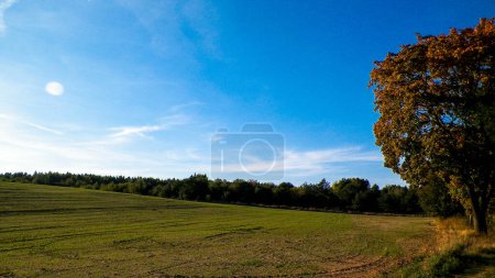 Ende Sommer - Herbst Bäume und Felder. Polnische Natur. Kopierraum auf blauem Himmel. Mechelinki, Polen.
