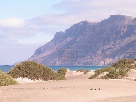 Beach and Mountains - beautiful coast in Caleta de Famara, Lanzarote Canary Islands. Beach in Caleta de Famara is very popular among surfers.