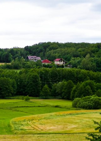 Champs et prairies de Wiezyca. Wiezyca est une région touristique populaire de la région de Kashubia. Pologne