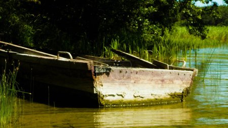 Boat on Wdzydzkie lake coast. Old abandoned boat on Wdzydze Lake coast. Wdzydze Landscape Park, Kashubia region, northern Poland.