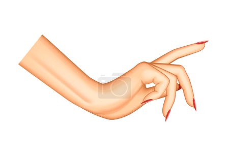 Mano femenina apuntando aislada en blanco. Dedo índice de la mujer. Ilustración vectorial