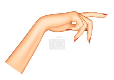 Female pointing hand isolated on white. Index finger of woman. Vector illustration