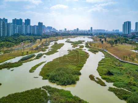 Photo for Aerial photography of a river swamp in a wetland park in a city - Royalty Free Image