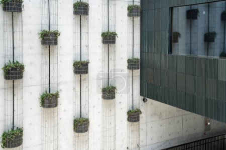 Téléchargez les photos : Conception architecturale de façade végétale pour les musées modernes - en image libre de droit
