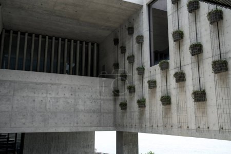 Téléchargez les photos : Conception architecturale de façade végétale pour les musées modernes - en image libre de droit