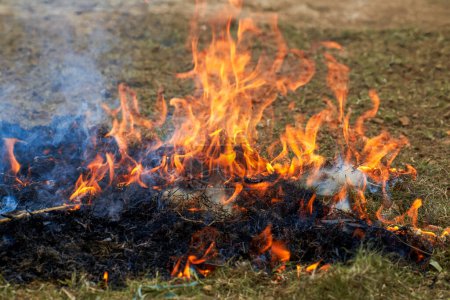 Téléchargez les photos : Un tas de paille brûlante à l'extérieur dans la campagne - en image libre de droit