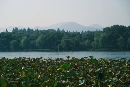 Hermoso paisaje y gente agradable por el lago del oeste en Hangzhou, Zhejiang, China