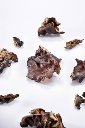 Close up of wild dried black fungus on white background