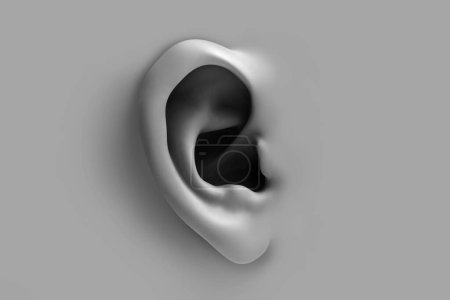 Foto de Representación 3D de una oreja. Fondo blanco y negro con escultura de oreja. - Imagen libre de derechos