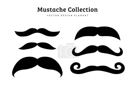 Illustration for Collection of mustache style vector illustration features Batwing, mustachio, cowboy, handlebar moustache style - Royalty Free Image
