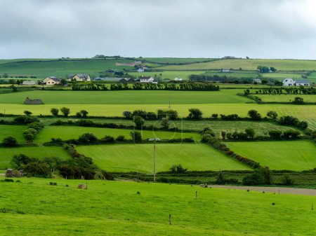 Photo for Picturesque countryside, spring. Green farm fields, landscape. Beautiful Irish nature. - Royalty Free Image